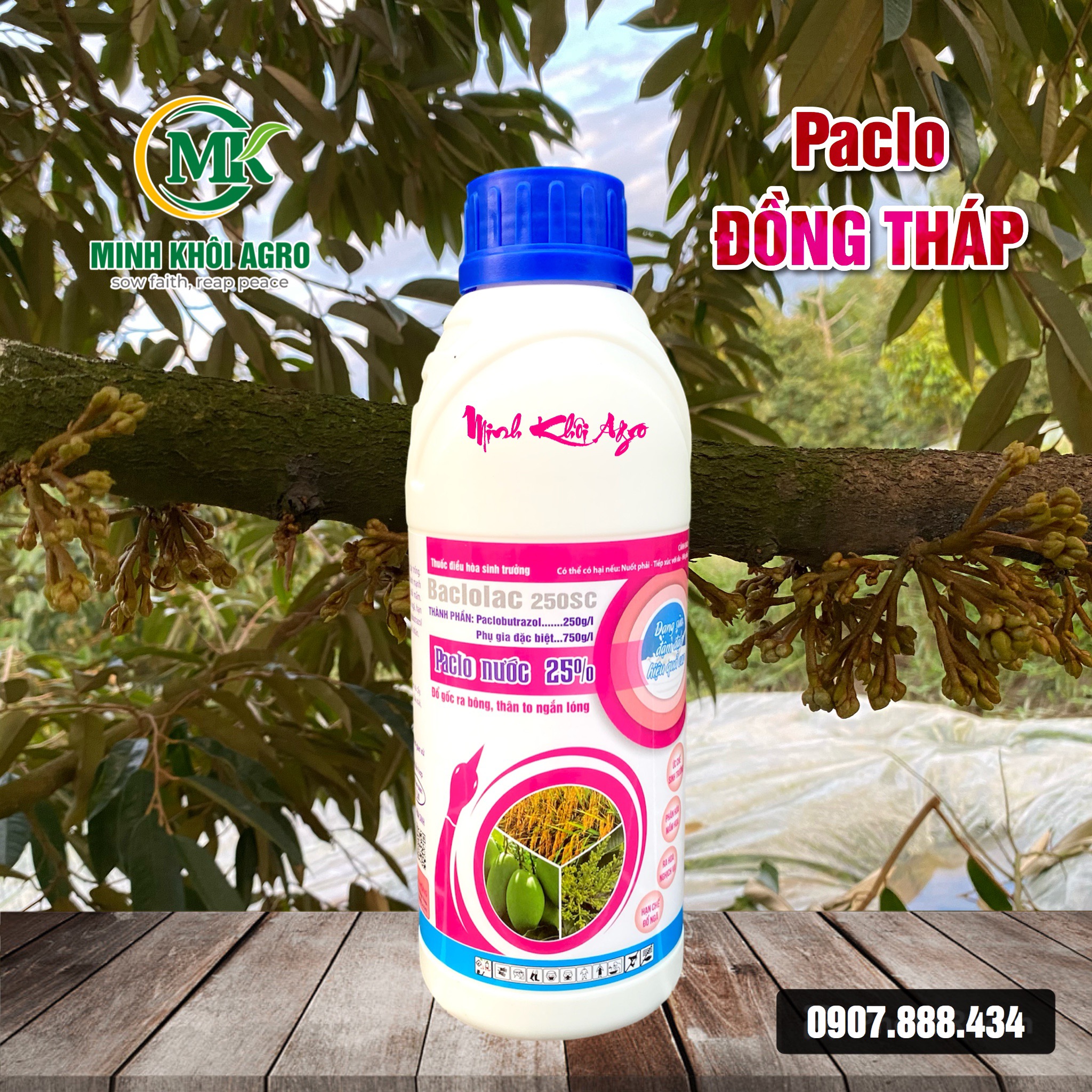 Baclolac 250SC (Paclo Đồng Tháp) - Chai 1 lít